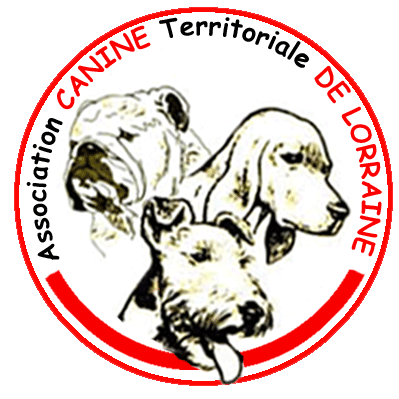 Logo de la SCL logoSCL